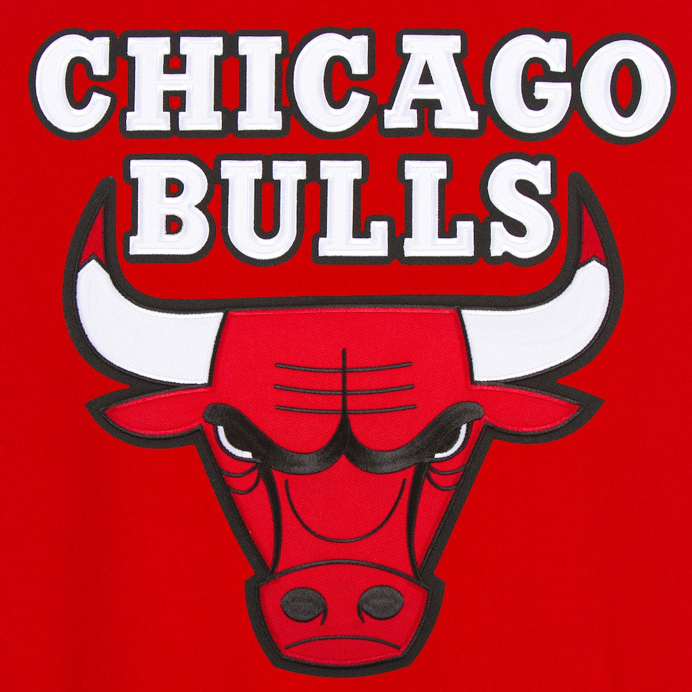 Men's Bulls Red Reversible Varsity Full-Snap Jacket